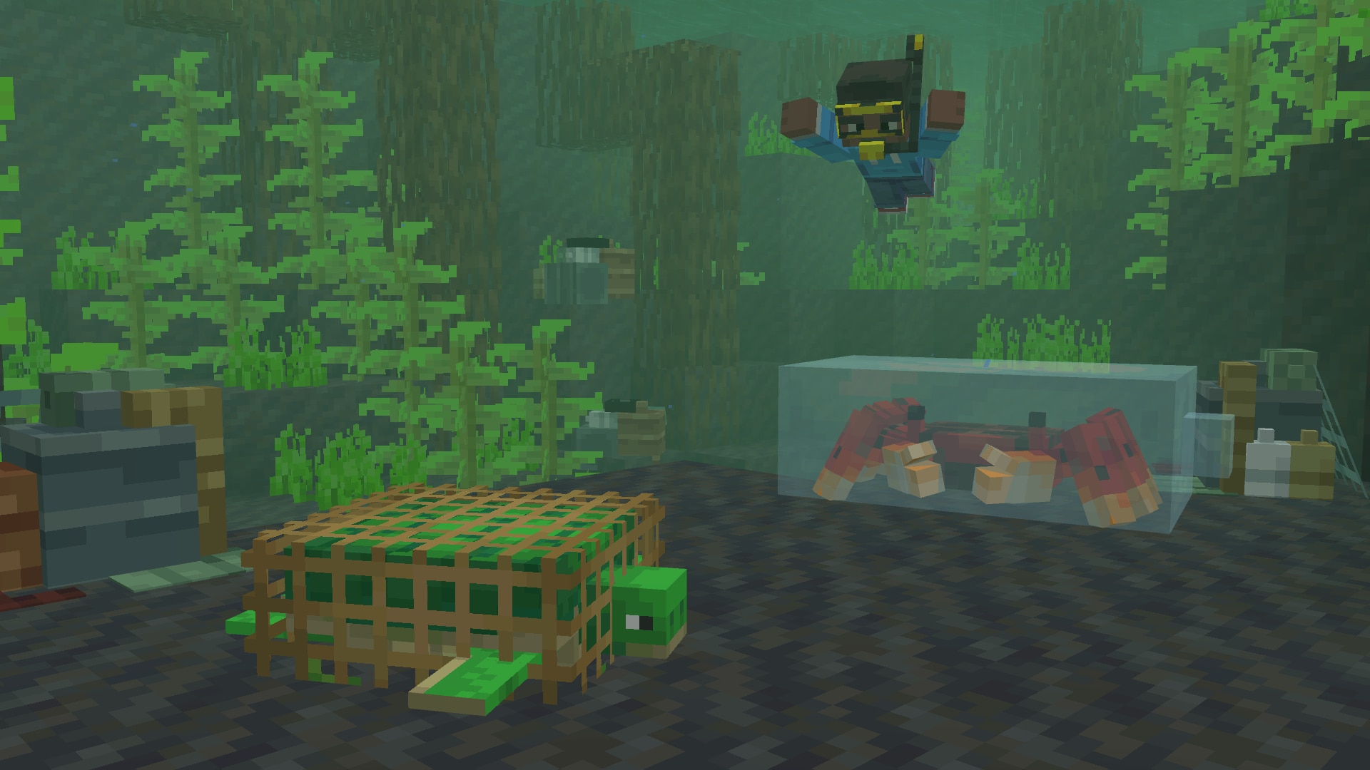 Underwater a swimming character approaches a trapped turtle and a crab enclosed in a box.