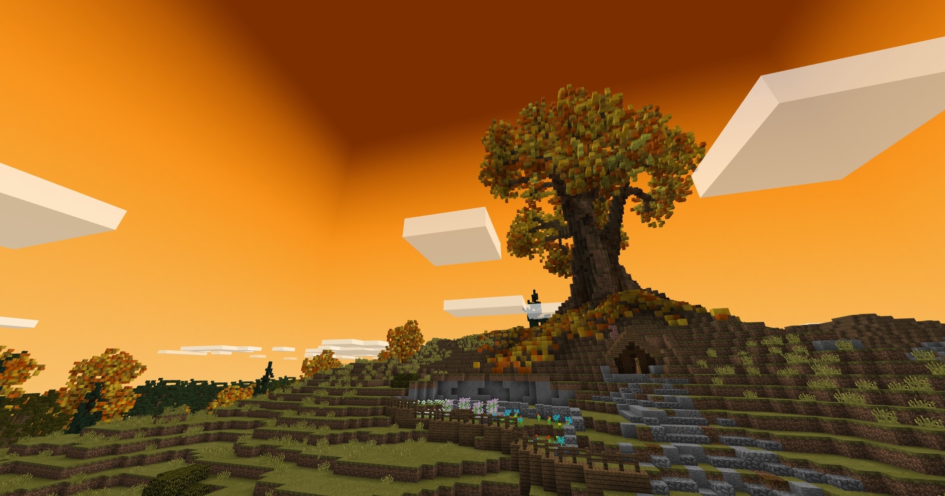 Tree with sunset