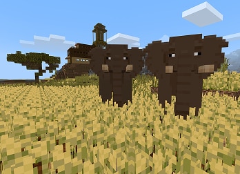 Two elephants are walking in the farm
